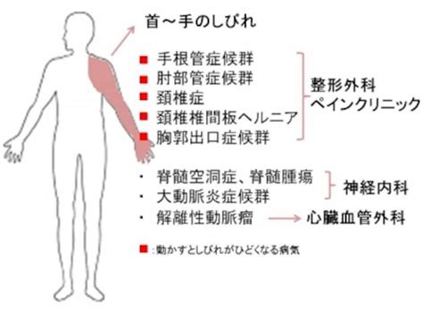 人差し指 指 手がしびれる 病気 前兆 Hello Doctor