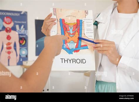 Female Endocrinologist Showing Structure Of Thyroid Gland To Mature