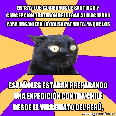 Meme Anxiety Cat En Los Gobiernos De Santiago Y Concepci N