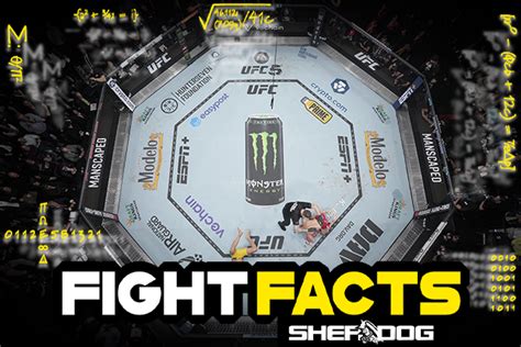 Fight Facts: UFC 2023, a Year in Review