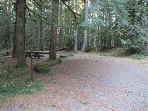 Camp Creek Campground Mount Hood Oregon