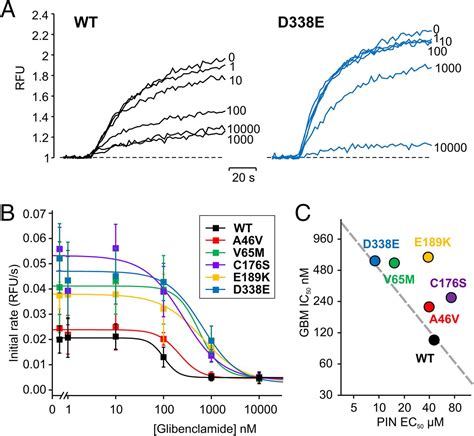 Rapid Characterization Of The Functional And Pharmacological