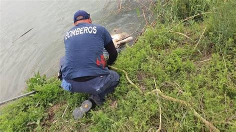 Localizan en Piedras Negras a ahogado en la Isla del Mudo en el Río