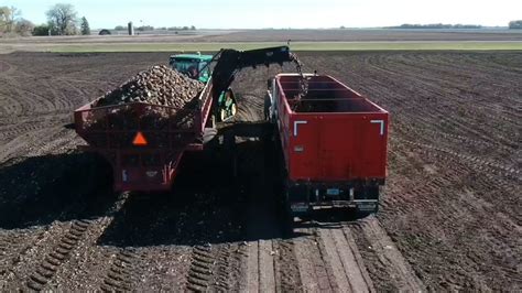 North Dakota Sugar Beet Harvest Loading Trucks Youtube