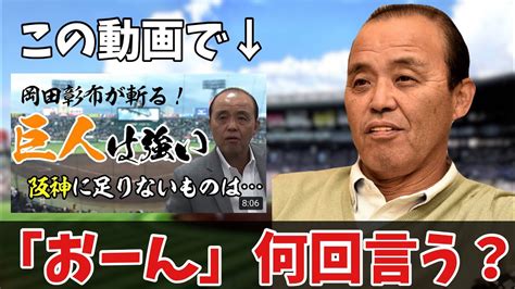 銀のそらもうアレよステッカー 岡田彰布 阪神タイガース 待望の岡田監督 どんでん 応援グッズ Hinoki Design Raindrop Jp