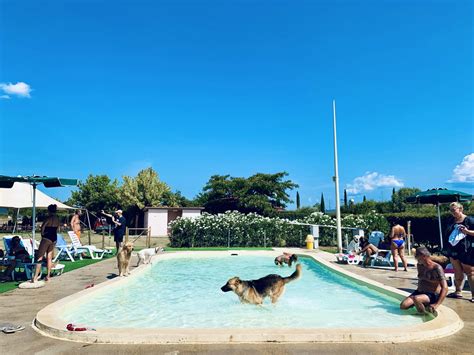 Villaggio Vacanze Toscana Mare Cani Ammessi Villaggio Pet Friendly