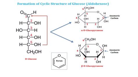 Chemistry Of Carbohydrates PPT