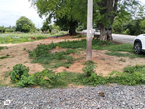 Residential Plot Sq Ft For Sale In Anaicut Vellore Rei