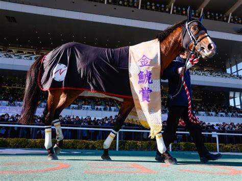 【金鯱賞レース後コメント】プログノーシス川田将雅騎手ら 競馬ニュース Netkeiba