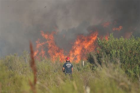 Cinco Incendios Forestales Se Produjeron En Canelones 970 Universal