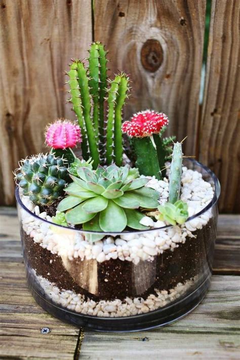 Having Too Many Succulents Create Stunning DIY Decoration For Your Home