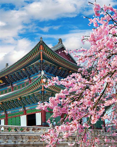 South Korea Culture Travel Tips: Embracing the Rich Heritage of the ...