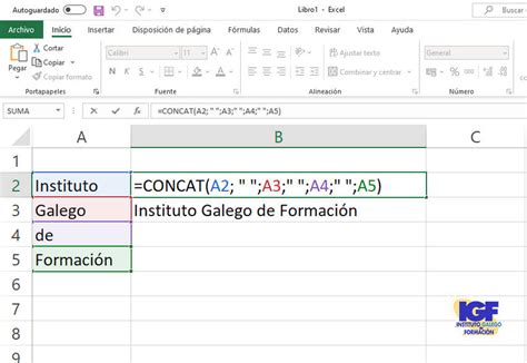 Función CONCAT de Excel 2019 IGF Instituto Galego de Formación