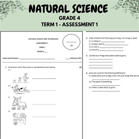 Natural Science And Technology Grade Term Test Teacha Hot Sex Picture