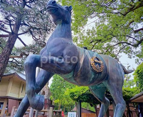 京都 藤森神社の神馬像01 No 28499122｜写真素材なら「写真ac」無料（フリー）ダウンロードok