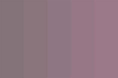 The Radish Spirit Color Palette