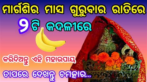 ମରଗଶର ମସ ଗରବର ଦନ ରତର ୨ଟ କଦଳର କରଦଅନତ ଏହ ମହଉପୟ Ajira