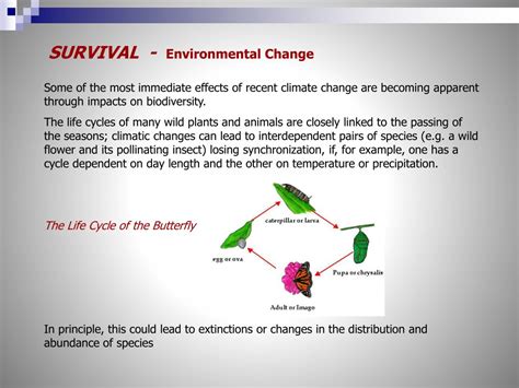 Ppt Biology Powerpoint Slideshow Grade 9 Science Biological Diversity