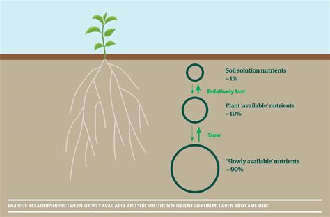 Your Soils A Cornucopia Of Nutrients