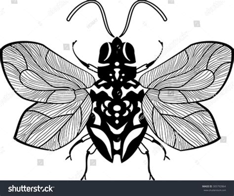 Vector Illustration Fly Stock Vector (Royalty Free) 305792864 ...