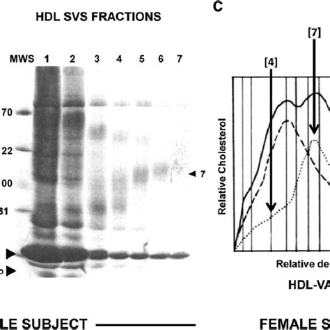 Characterization Of Hdl Subspecies Isolated By Immunoaffi Nity