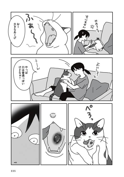 ＜画像29 106＞愛猫の闘病と別れ、その後を描いた漫画「世界一幸せな飼い主にしてくれた猫」。飼い主の覚悟と思いとは？【作者に聞いた