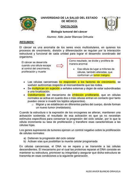 Resumen Biolog A Tumoral Del C Ncer Universidad De La Salud Del