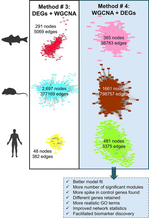 Comparison Of Module Networks Built Using Method 3 Degs Wgcna And