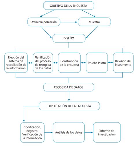 Fases De La Encuesta