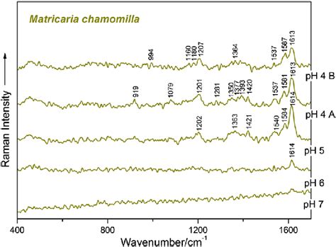 Surface Enhanced Raman Spectroscopy Spectra Of Genomic Dna Molecules