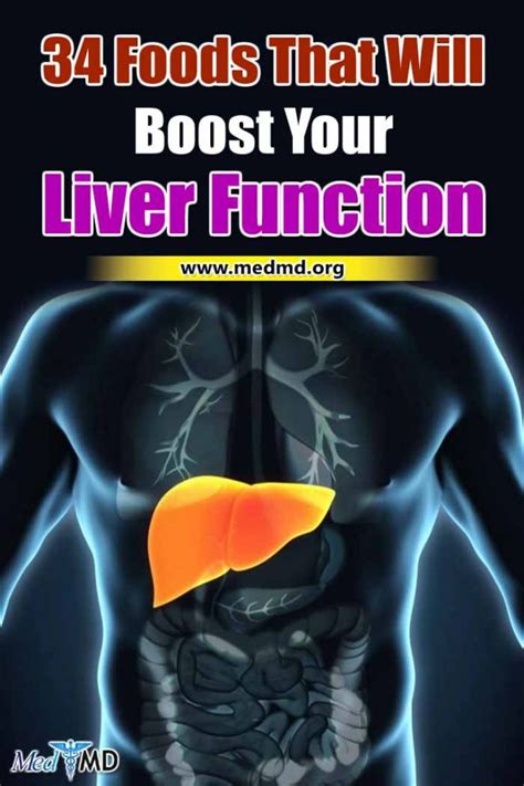 34 Foods That Will Boost Your Liver Function