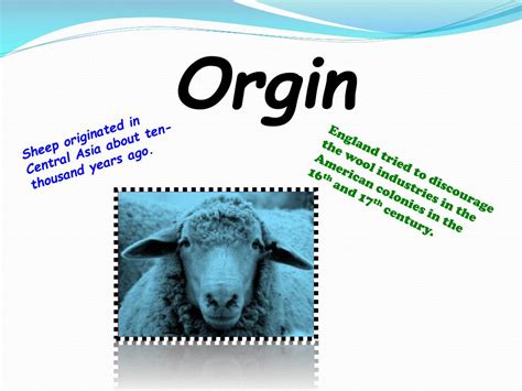 Ppt Sheep Facts Powerpoint Presentation Free Download Id2390997