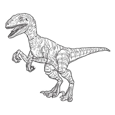 vector drawing velociraptor dinosaur, black lines 35887262 Vector Art ...