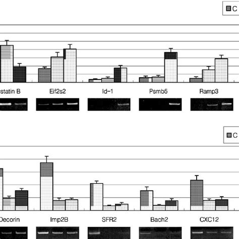 Semiquantitative Rt Pcr Analysis Confirming Estrogen Regulated Genes Download Scientific