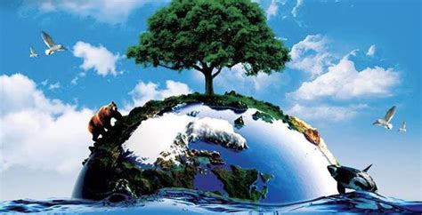 nhiem moi truong nuoc hay cai tao truoc khi qua muon