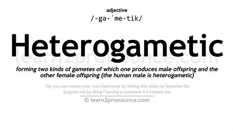 Pronunciation Of Heterogametic Definition Of Heterogametic Youtube