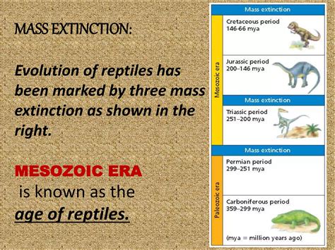 Evolution of reptiles | PPT