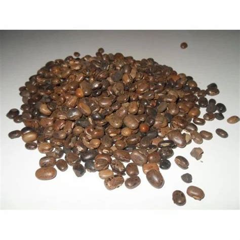 Jungly Mucuna Pruriens Seed Packaging Type Plastic Bag Kg Also