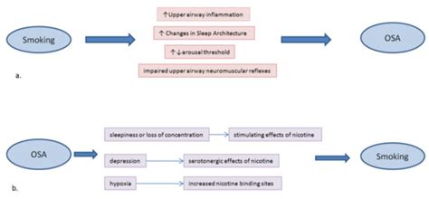 jcm special issue obstructive sleep apnea osa  pathways
