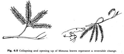 Ncert Solutions For Class Science Changes Around Us Chapter