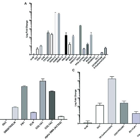 Log Fold Change In Gene Expression Relative To Ipscs A Primary