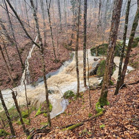 The leslie county detention center ky has a unique rehab program