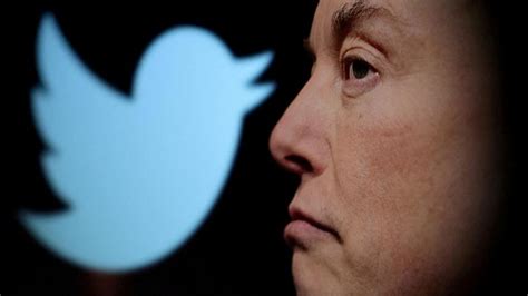 Elon Musk Only Blue Tick Users To Vote In Twitter Polls On Policy