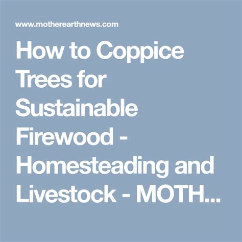 How To Coppice Trees For Sustainable Firewood Homesteading And