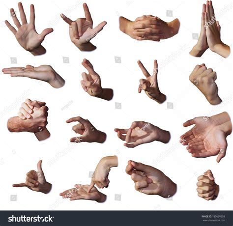 Hands Show Signs Gesticulation Different Form Stock Photo 185660258 ...