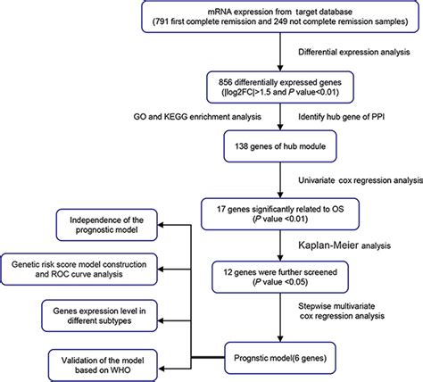 A Six Gene Based Prognostic Model Predicts Complete Remission And Over