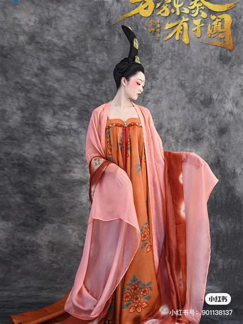 Hanfu・漢服 China Tang Dynasty Chinese Traditional Clothing Hanfu