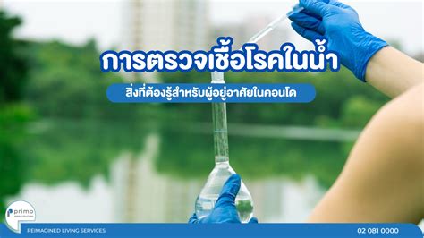 การตรวจเชื้อโรคในน้ำ สิ่งที่ต้องรู้สำหรับผู้อยู่อาศัยในคอนโด