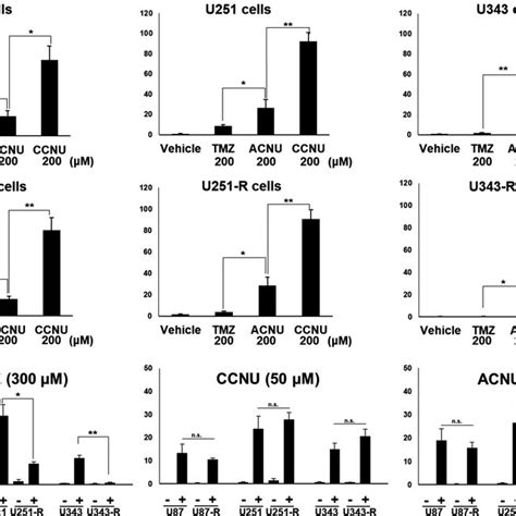 Temozolomide Tmz Resistance Of Glioblastoma Gbm Cells Is Regulated