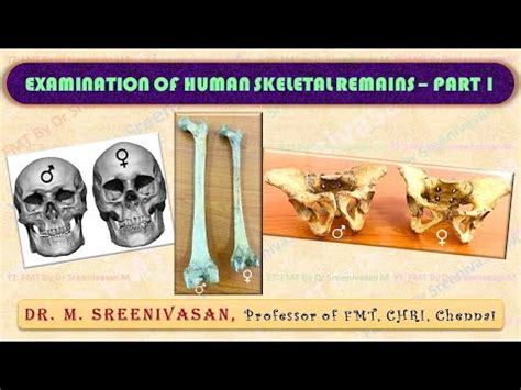 Sex Differentiation In Human Skull Pelvis Femur Part Youtube